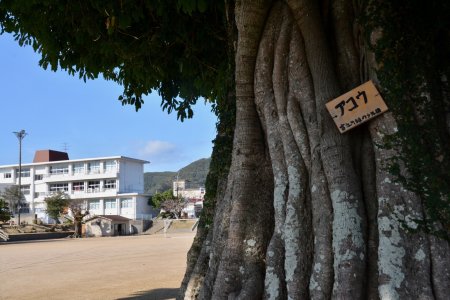 富江散歩5